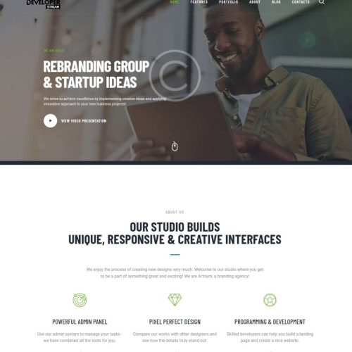 business website
